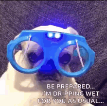 Be Prepared Puppy GIF - Be Prepared Puppy Im Dripping Wet GIFs