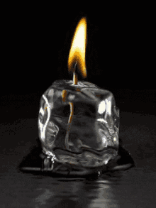 Burning Candle Instagram Zefexwoo GIF - Burning Candle Instagram Zefexwoo Candle GIFs