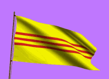 co vnch south of vietnam flag