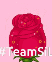 Team Sil Happy GIF - Team Sil Happy Roses GIFs