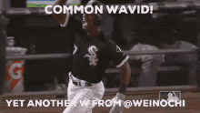 weinochi wsxmatt weinochi wsxmatt