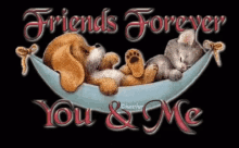 Friends Forever You And Me GIF - Friends Forever You And Me Cat GIFs