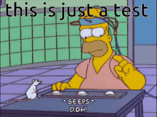 Test Homer Simpson GIF - Test Homer Simpson Mouse GIFs