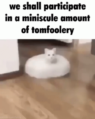 Tomfoolery Cat GIF Tomfoolery Cat Vacuum Discover Share GIFs Tomfoolery Cat