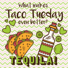 Tequila Taco GIF - Tequila Taco Tuesday GIFs