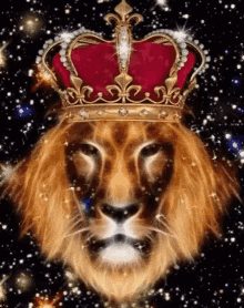 Lion Kings Sparkle GIF - Lion Kings Sparkle GIFs