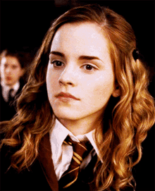 Hermione Granger Harry Potter GIF - Hermione Granger Hermione Harry Potter GIFs