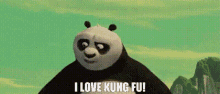 Kung Fu Panda Po GIF - Kung Fu Panda Po I Love Kung Fu GIFs