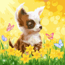animal butterfly nature dragonfly dog