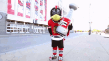 Chicago Blackhawks Tommy Hawk GIF - Chicago Blackhawks Tommy Hawk Mascot GIFs
