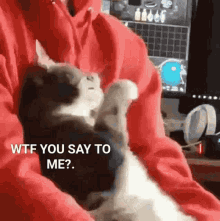 Wtf Wtf You Say GIF - Wtf Wtf You Say To Me GIFs