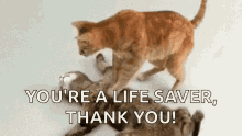 Thanks Thank You GIF - Thanks Thank You Life Saver GIFs