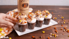 Pudding Perfect Pudding Booze GIF - Pudding Perfect Pudding Booze Chocolate Pudding Shots GIFs