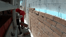 Brick Wall Construction GIF - Brick Wall Construction Wall GIFs