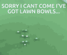 Lawn Bowls Sorry Bowls GIF - Lawn Bowls Sorry Bowls Bowls GIFs