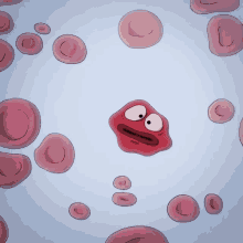 Animal Cell Labeledgif 572417 Pixels Cell Diagram Science Cells Images