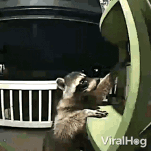 Stealing Box Viralhog GIF - Stealing Box Viralhog Raccoon Taking Food Box GIFs