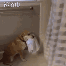 otaku puppy bath towel