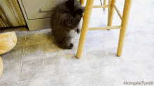 10. You Mentally Prepare Yourself Before Getting Up Onto A Barstool. GIF - Bear Fall Fail GIFs