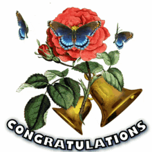 Congratulations Bells GIF - Congratulations Bells Red Rose GIFs