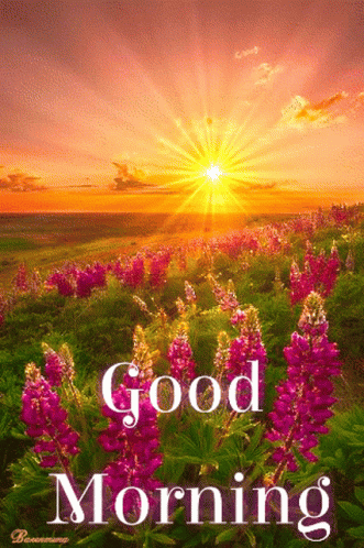 good-morning.gif