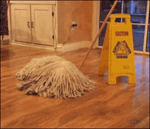 Dog Mop GIF - Dog Mop Shaggy GIFs