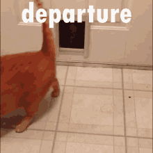 Departure Cat GIF - Departure Cat Fat GIFs