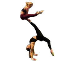 Gymnastics Flexible Sticker - Gymnastics Flexible Lift Stickers