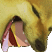dog eating eating burger burger dog eating dog eating eating burger burger dog eating