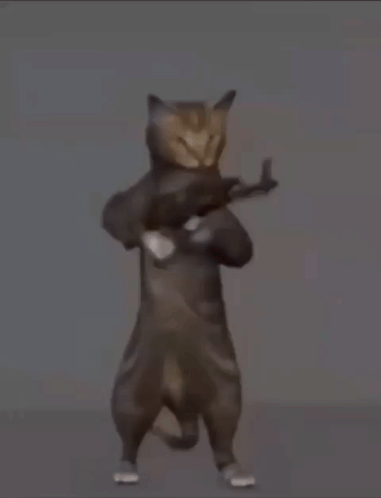 tenor.gif