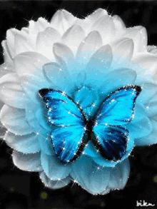 White Blue Flower Butterfly GIF - White Blue Flower Butterfly Pure White GIFs