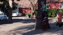 Get Out Of Here, You Freak! GIF - Unicycle Turkey Chase GIFs