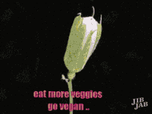 Eat More Veggies Go Vegan GIF - Eat More Veggies Go Vegan Vegan GIFs