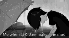 Kitten Discord GIF - Kitten Discord Mod GIFs