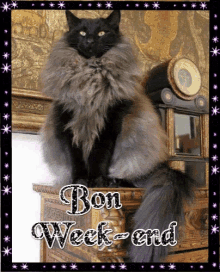Bon Weekend Chat Salutations Amie Amis GIF - Bon Weekend Chat Salutations Amie Amis GIFs