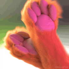 Paws Furry GIF - Paws Furry Dog Paws GIFs