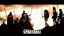 Spartans What Is Your Profession 300 GIF - Spartans What Is Your Profession 300 GIFs