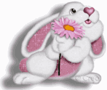 Cute Bunny Cute Bunny Flower GIF - Cute Bunny Cute Bunny Flower Glittery GIFs