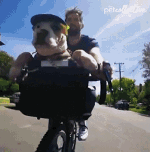 Road Trip The Pet Collective GIF - Road Trip The Pet Collective Biking GIFs