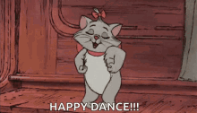 cute cat kitten excited dance