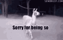 Fabulous Sorry GIF - Fabulous Sorry Llama GIFs