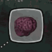 Brain Genius GIF - Brain Genius 200iq GIFs