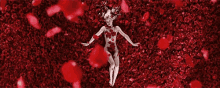 Rose Petals GIF - Rose American Beauty GIFs