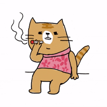 animal kitty cat cute smoke