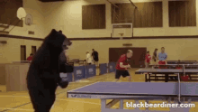 Table Tennis Ping Pong GIF - Table Tennis Ping Pong Bears GIFs