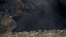 Holy Grail Killer Rabbit GIF - Holy Grail Killer Rabbit Knights Of The Round Table GIFs