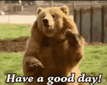 Have A Good Day Have A Great Day GIF - Have A Good Day Have A Great Day Have A Nice Day GIFs