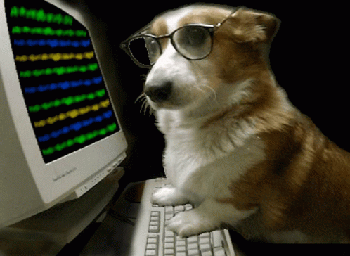 Gif de um cachorro de óculos digitando um computador.