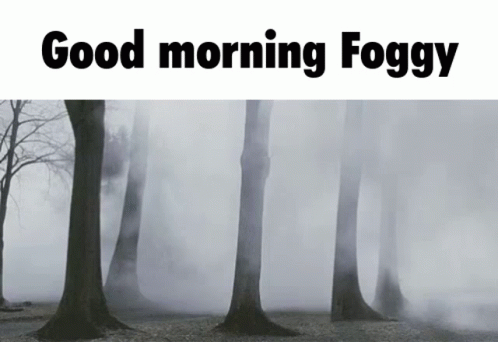 Good Night Foggy GIF.
