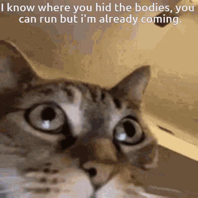 Run Hide GIF Run Hide I Know Discover & Share GIFs